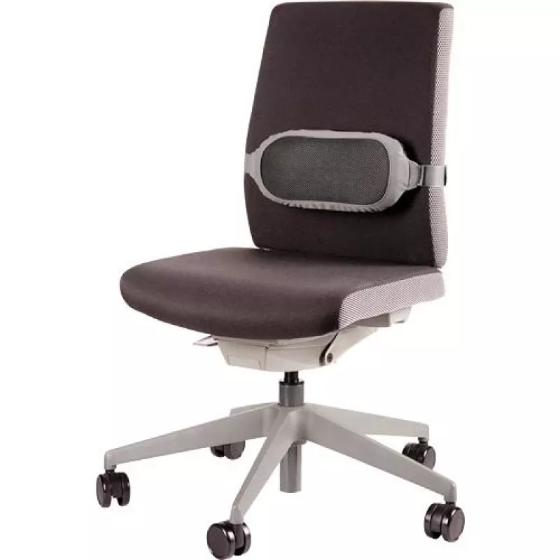 SUPPORTO LOMBARE/I-SPIRE GRIGIO 8042201 FELLOWES