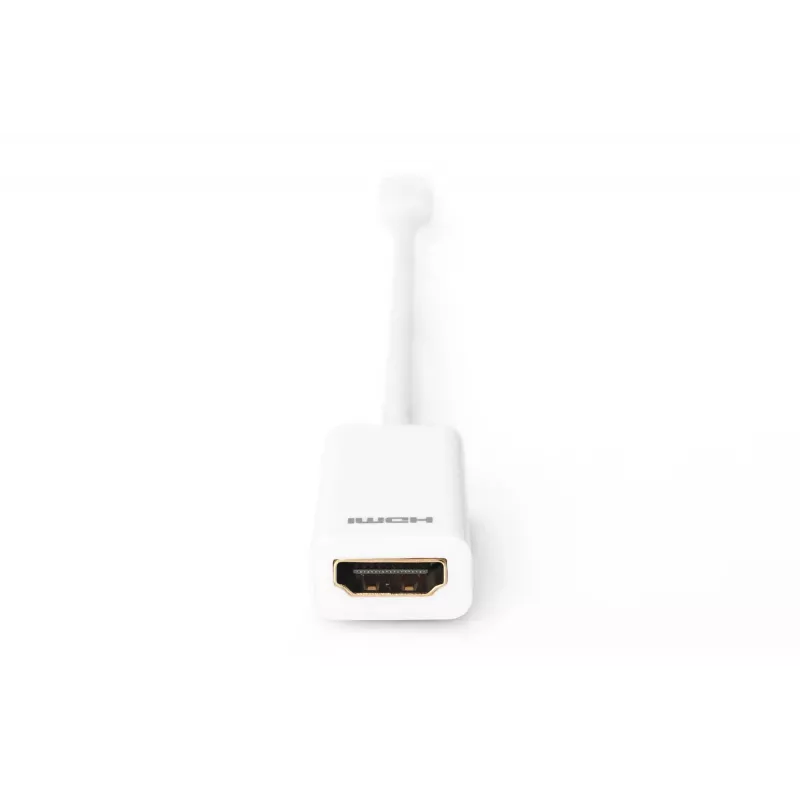 Adattatore DisplayPort Digitus AK-340404-001-W