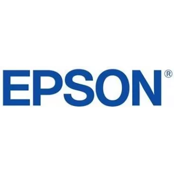 Epson C13T56F900 cartuccia d'inchiostro originale grigio chiaro