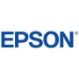Epson C13T56F900 cartuccia d'inchiostro originale grigio chiaro