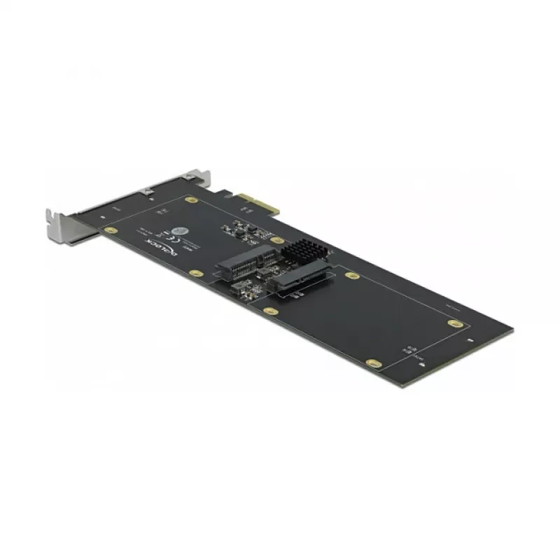 Scheda PCI Express x2 DeLOCK 90433 per 4 x SATA HDD SSD RAID