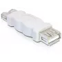 Adattatore USB A DeLOCK 65012