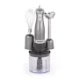 Salter EK2827GUNMETALFVDE Cosmos set frullatore 3 in 1