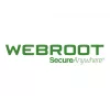 Webroot | DNS Protection with GSM Console | 1 anno | Quantità licenza 10-99 utenti