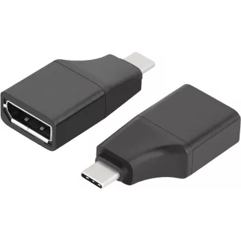 ROTRONIC-SECOMP VALUE - Adattatore video - 24 Pin USB-C (M) a DisplayPort (F)