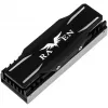 Kit di raffreddamento SSD M.2 SILVERSTONE SST-TP03-ARGB con supporto ARGB