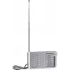Radio analogica portatile Panasonic RF-P150DEG argento