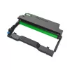 Tamburo Pantum DL-425X (DL425X) 25000 pagine