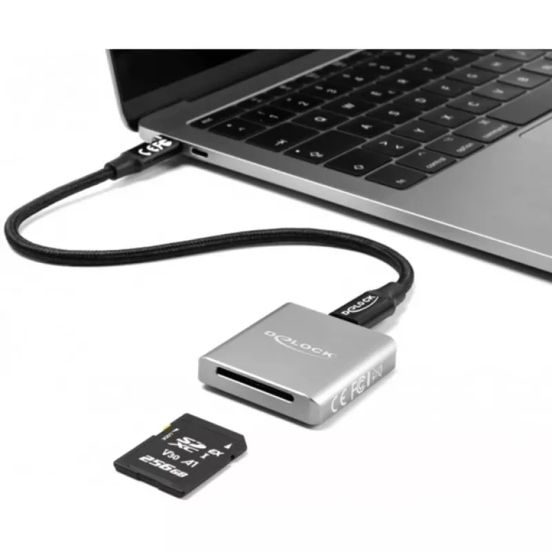 Lettore di schede DeLOCK 91006 grigio SD USB Type-C 10000 Mbit/s