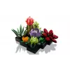 Lego Icons 10309 Piante grasse