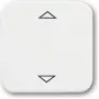Busch-Jaeger 2CKA006430A0314 Attuatore smart home per tapparelle/veneziane (2CKA006430A0314)