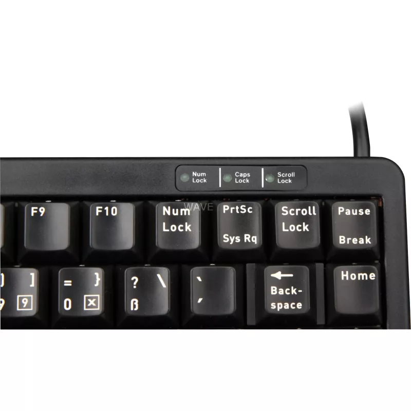 CHERRY G84-4100 tastiera universale USB QWERTZ tedesco nero
