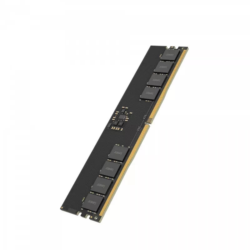 Lexar DDR5 - modulo - 32 GB - DIMM 288-PIN - 5600 MT/s / PC5-44800