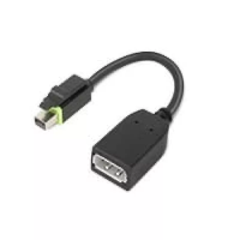 Adattatore cavo video Lenovo 4X90Q93975 Mini DisplayPort DisplayPort nero