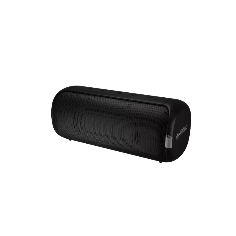 Altoparlante stereo portatile Audictus Aurora Pro 20 W
