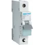 Hager MBS132. Corrente nominale: 32 A, frequenza di rete: 50/60. Tipo: curva B, numero moduli (max): 1 modulo. Larghezza: 17,5 mm, profondità: 70 mm, altezza: 83,4 mm (MBS132)