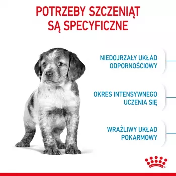 Crocchette per cani Royal Canin Medium Puppy 4 kg — per razze di taglia media 10–25 kg, proteine 32 %, grassi 20 %, pollo