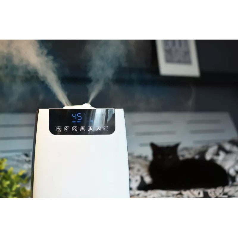 Umidificatore d'aria Blaupunkt AHS803 ultrasuoni 5 L argento 105 W