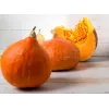 Semi di ortaggi zucca Uchiki Kuri Toraf, confezione da 5g