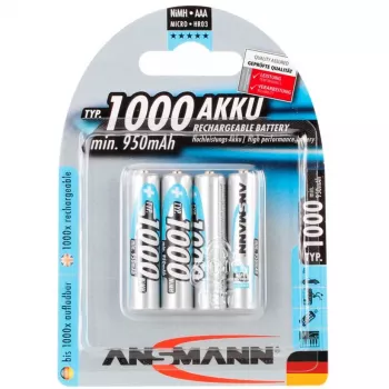 Batteria domestica AAA Ansmann 5030882