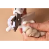 PETKIT tagliaunghie per cani e gatti con luce LED aggiornata PRO Cutter professionale con linea ematica illuminata muschio per gatti toelettatura artigli bellezza