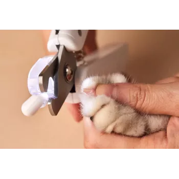 PETKIT tagliaunghie per cani e gatti con luce LED aggiornata PRO Cutter professionale con linea ematica illuminata muschio per gatti toelettatura artigli bellezza