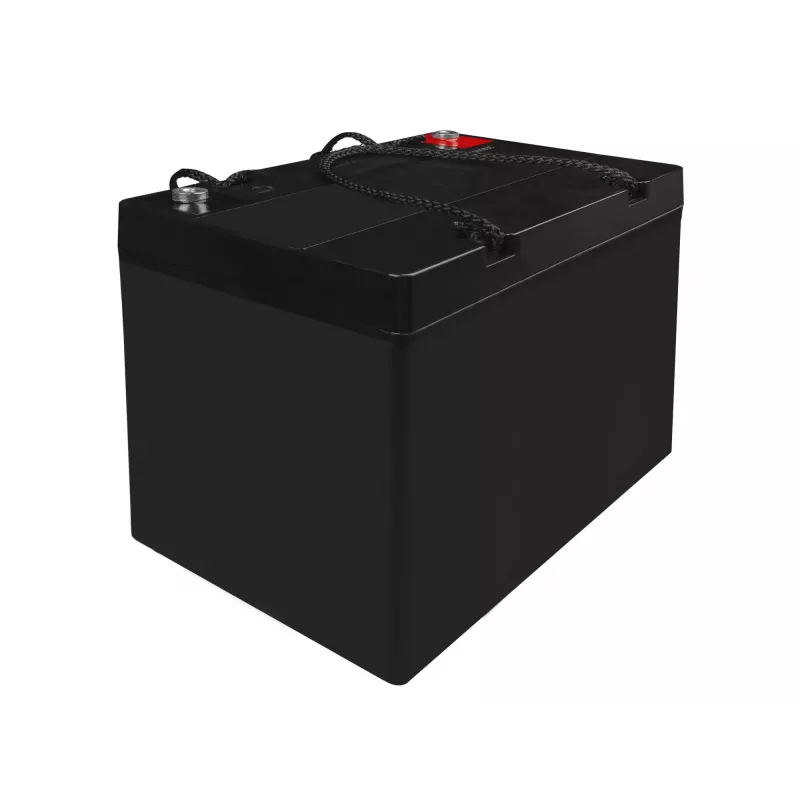 Batteria per veicoli AGM Green Cell AGM56