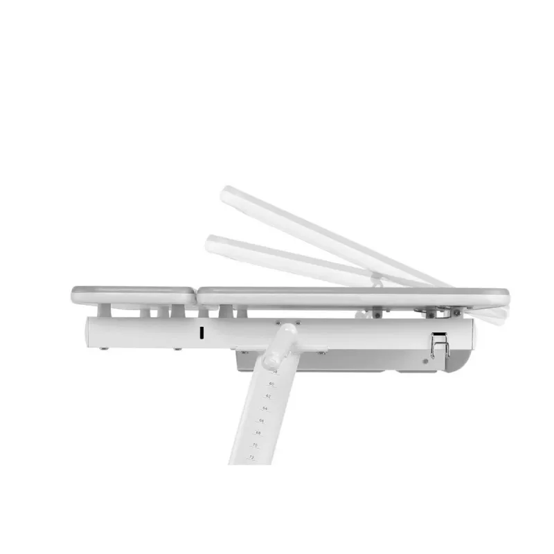Ergo Office Scrivania ergonomica per bambini regolabile in altezza, grigia, max 100 kg, ER-417 2cz