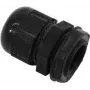 Pressacavo EUROLITE PG11 nero — modello 85056615