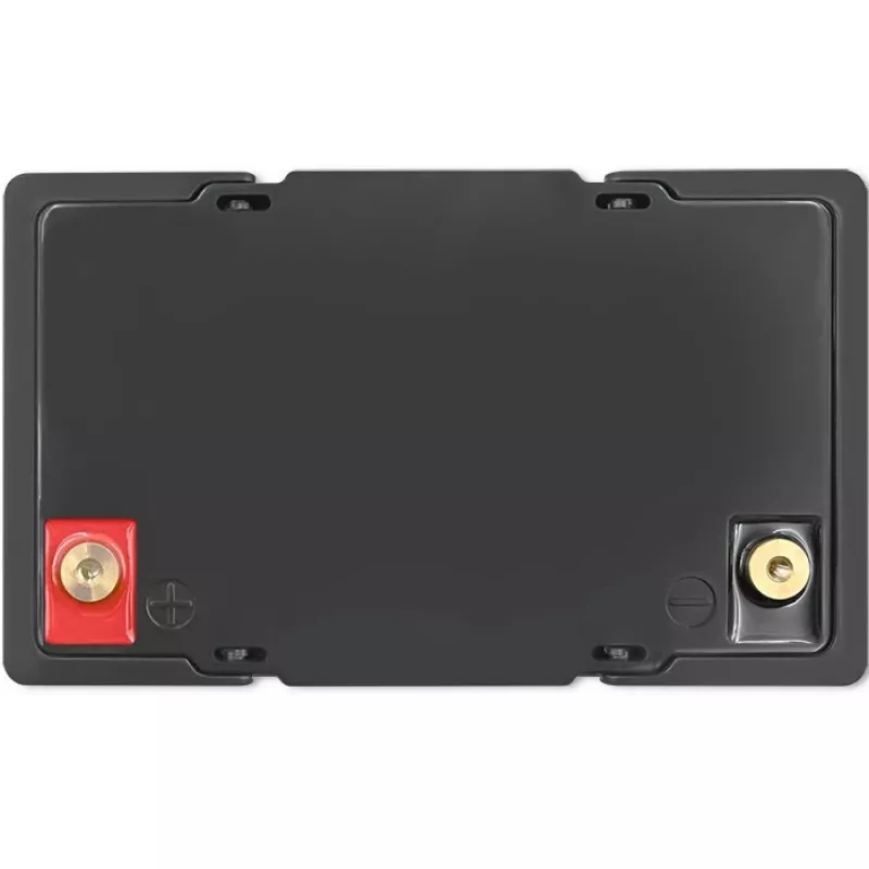 Batteria LiFePO4 QOLTEC 12,8 V 50 Ah (modello 53704) per backup e accumulo di energia