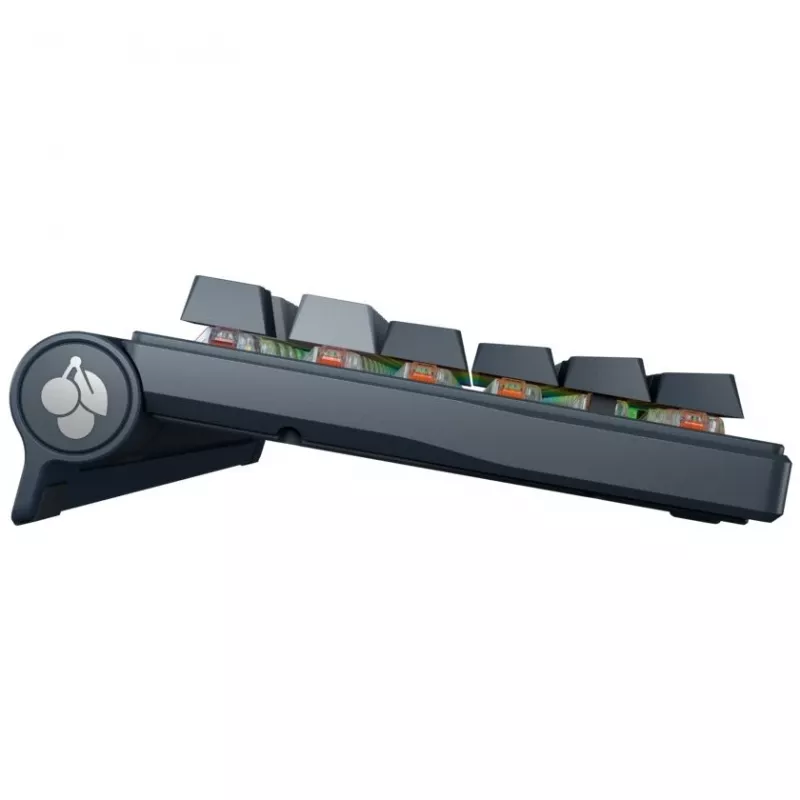 Tastiera meccanica Cherry MX 8.3 Wireless RGB Red Switch layout DE
