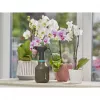 Spruzzatore a mano Gardena 11110-20 0,75 L nero