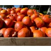 Semi di ortaggi zucca Uchiki Kuri Toraf, confezione da 5g