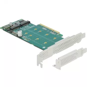 Scheda DeLOCK PCI Express x8 su 2 x NVMe M.2 Key M interne biforcazione formato low-profile