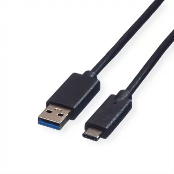 ROLINE - Cavo USB - USB Type-C (M) - USB Type-A 9 pin (M) - 1 m (USB 3.1) - stampato - nero (11.02.9011)