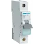 Hager MBN116 interruttore elettrico 1P (MBN116)