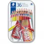 Matite colorate Staedtler 175 Multicolour 36 pz.