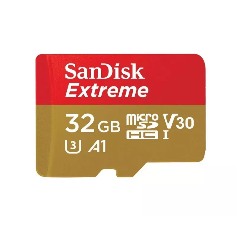 Scheda microSD SanDisk 32 GB UHS-I Class 10 SDSQXAF-032G-GN6GN