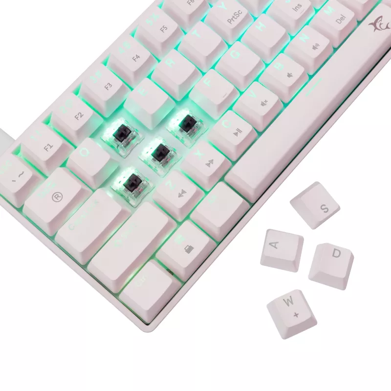 Tastiera meccanica White Shark Shinobi-2 Brown Switch layout US — design compatto, switch Brown