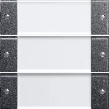GIRA 213328 Interruttore luce antracite - trasparente (213328)