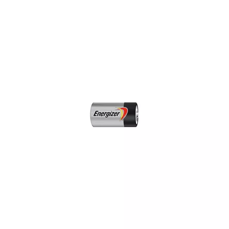 Batteria usa e getta Energizer 2x Classic D 1,5V LR20