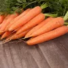 PNOS carota commestibile Lenka semi su nastro, 6 m