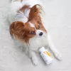 VET EXPERT sistema immunitario – integratore di supporto immunitario per cani e gatti – 30 capsule.