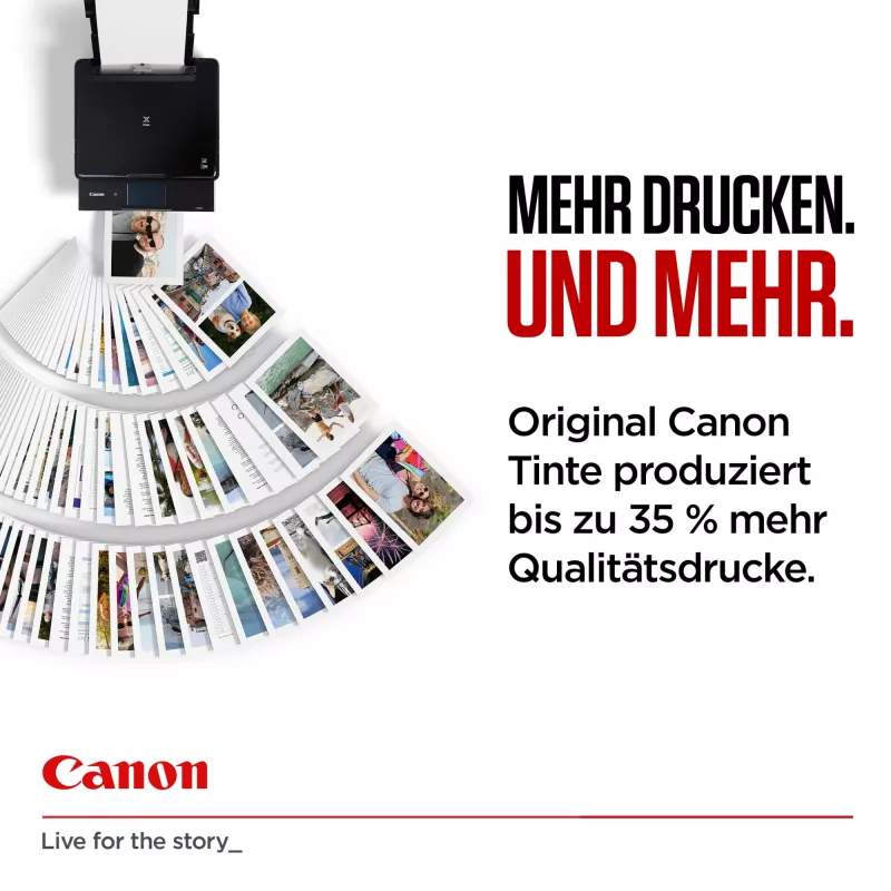 Cartuccia d'inchiostro Canon 6204C001 1 pz. originale autonomia High (XL) nero
