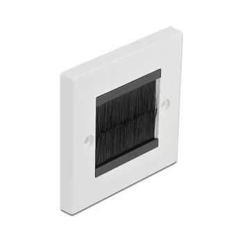 Piastra a parete DeLOCK 66491 bianco