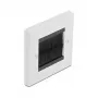 Piastra a parete DeLOCK 66491 bianco