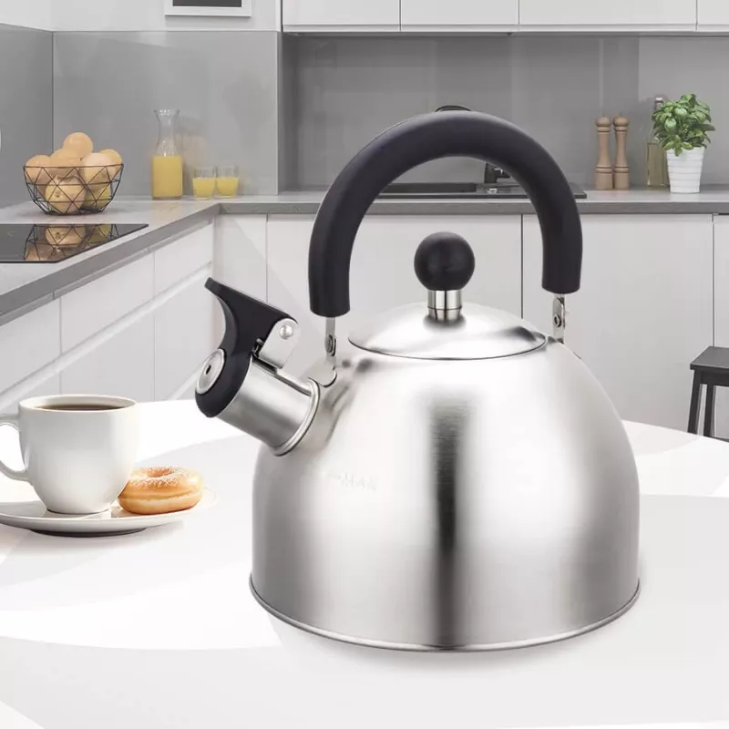 Maestro MR-1300 bollitore 2 L argento