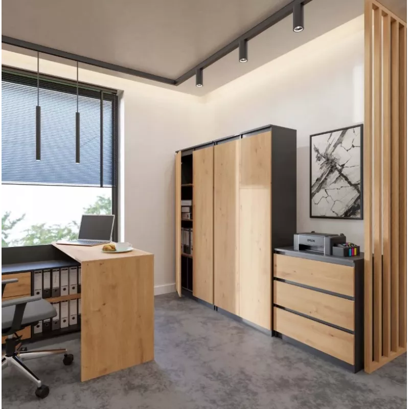 RS-80 HEMN libreria per ufficio, antracite/rovere artisan