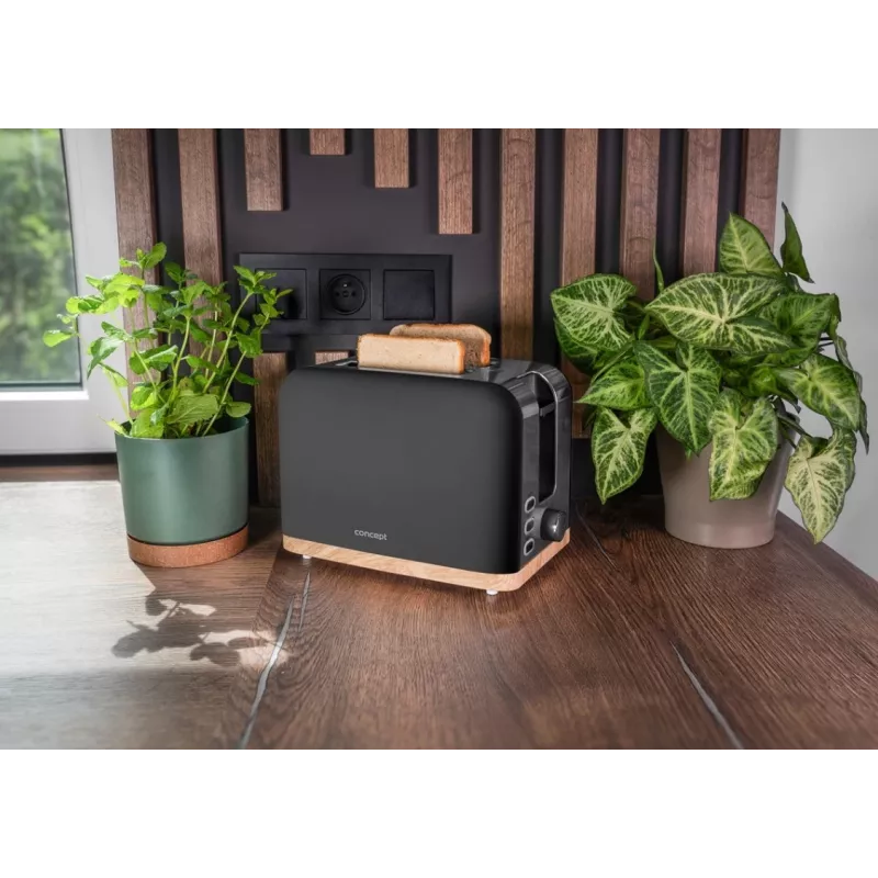 Tostapane Concept Elwood TE2016, 2 fette, nero