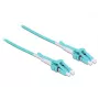 Cavo in fibra ottica DeLOCK 1m 2xLC